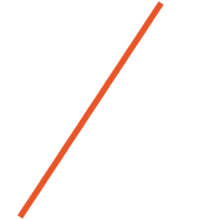 Bell icon